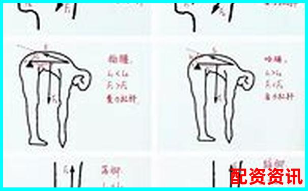 初二物理杠桿原理輕松學(xué) 30分鐘掌握關(guān)鍵知識點(diǎn)-3倍杠桿爆倉怎么算