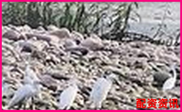 10倍杠桿配資聚焦佰朔資本注冊(cè)地深度解析-股票配資官網(wǎng)入口網(wǎng)址
