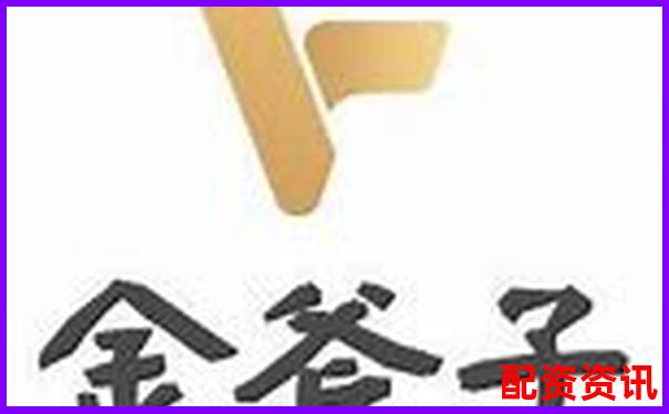金斧子股票配資電話是多少 如何快速聯(lián)系客服咨詢-期權中的杠桿是什么意思