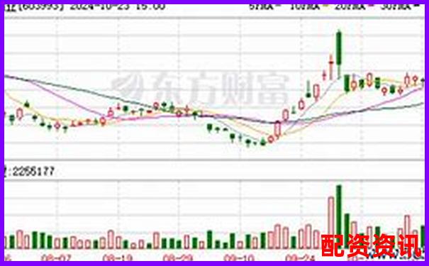 專業(yè)證券配資平臺(tái) 安全高效杠桿投資首選