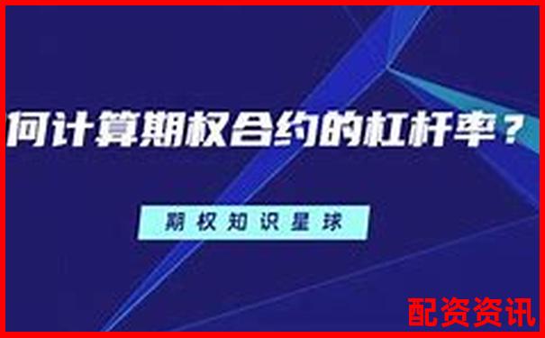股指期權杠桿倍數(shù)全解析 三大實戰(zhàn)技巧助你高效操作-炒股股票配資網站排名前十