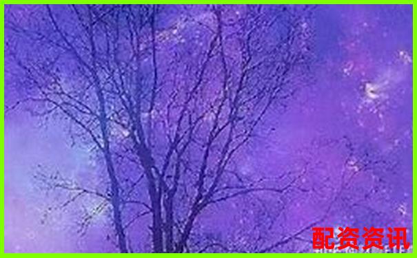 揭秘100倍杠桿股票與基金 究竟是何方神圣-500倍杠桿交易所