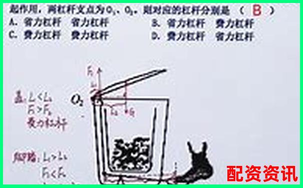 八年級物理杠桿知識點全攻略與解題技巧歸納-打開澳門網(wǎng)站免費資