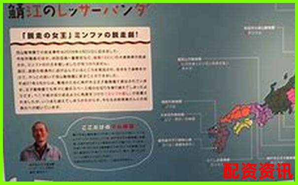 全國(guó)配資公司排行榜最新版本附注冊(cè)地址-配資平臺(tái)證券怎么樣